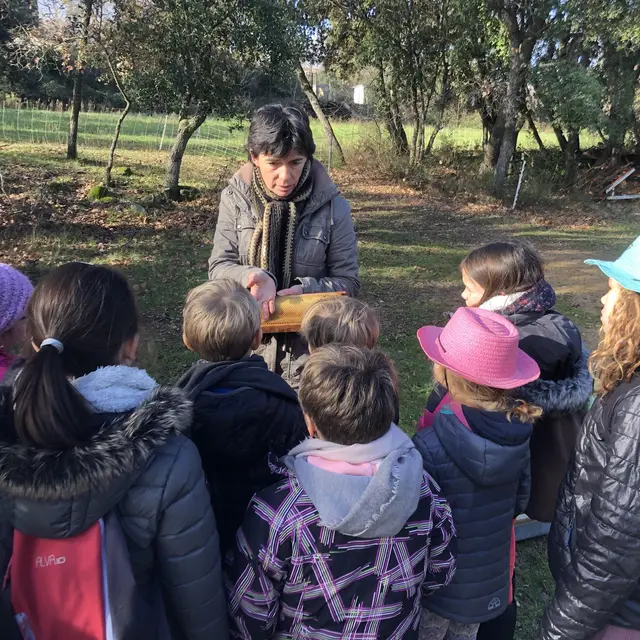 Visite d'un centre aéré