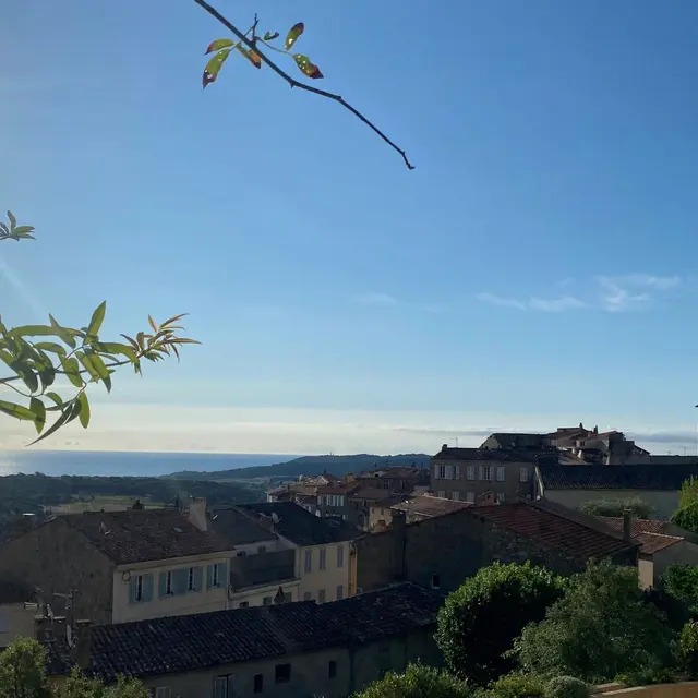 Visite insolite : Au cœur de Ramatuelle en juillet_Ramatuelle