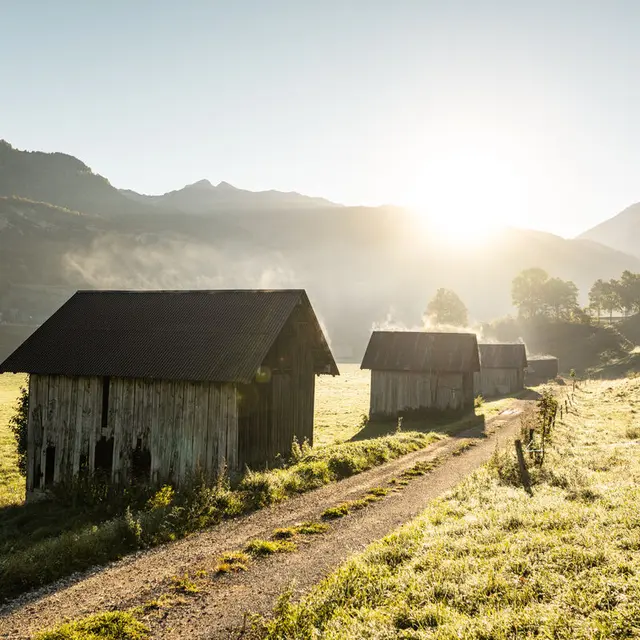 Les Grangettes de la Compôte_La Compôte