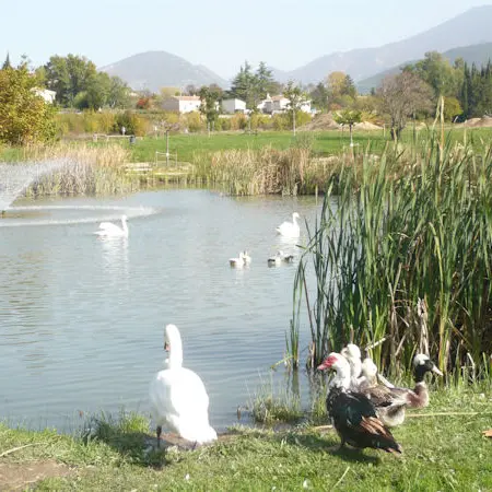 L'Etang des Palivettes à Malaucène