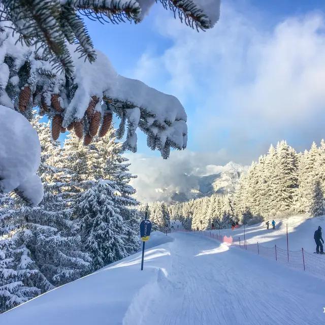 La Luge