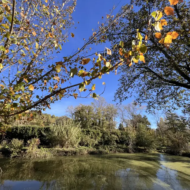 La boucle du Grand Chile à Opio_Opio