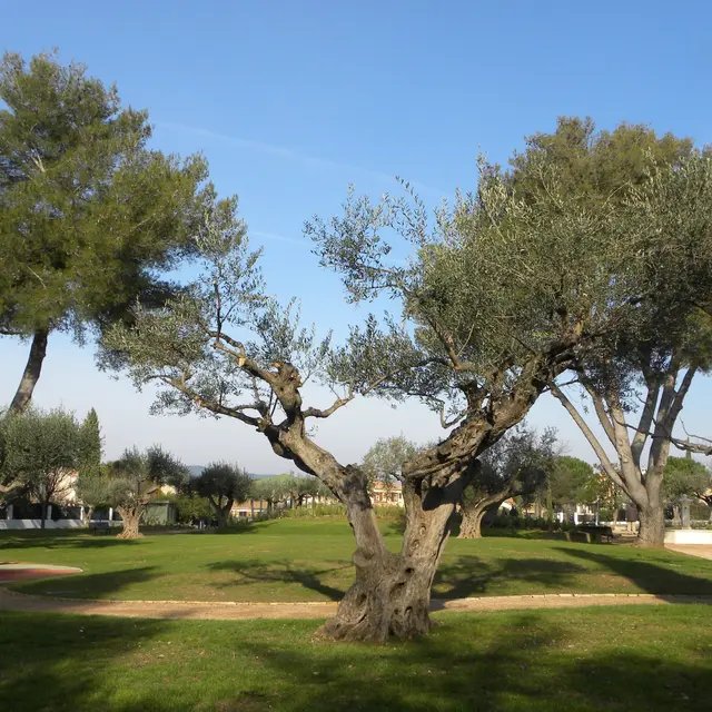 Jardin des Oliviers à La Londe les Maures