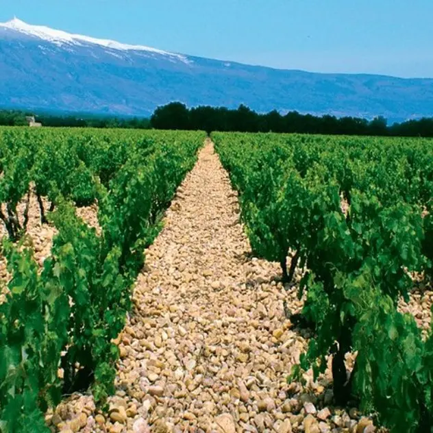 Chez Valérie et J.M_Bollène