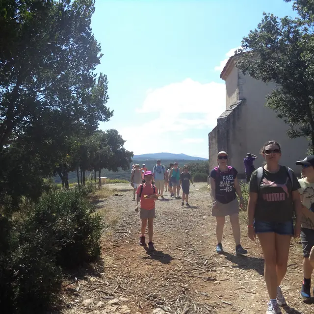 Geneviève Vallart de Boisgelin