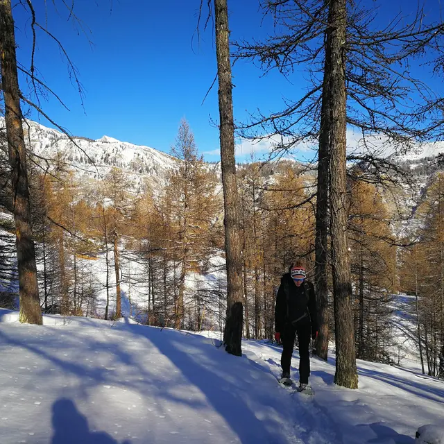 Raquettes avec Dam-nature04