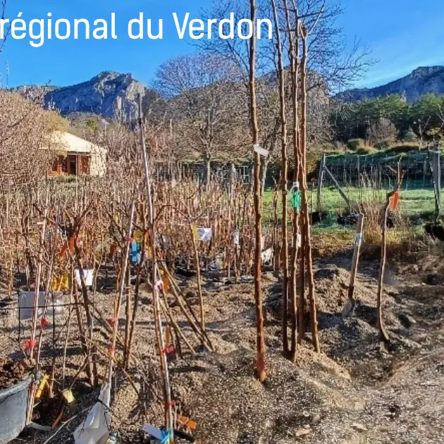 Il était un verger_Saint-Jurs