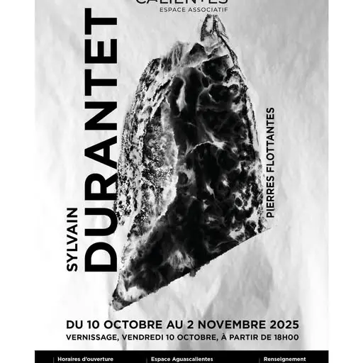 Exposition de Sylvain Durandet à l'Espace Aguascalientes_Champagne-en-Valromey