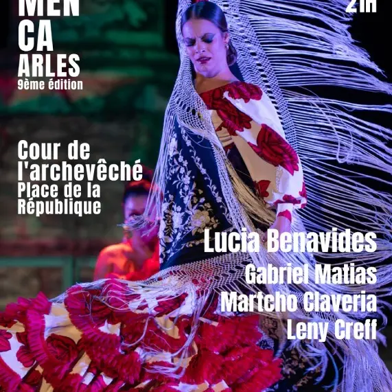 Spectacle Noches de Andalucia_Arles