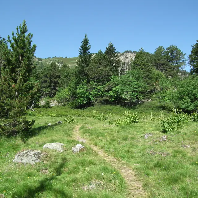 Les étangs et le pic de la Camisette