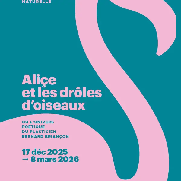 Visites flash animée Aliçe et les drôles d'oiseaux_Marseille