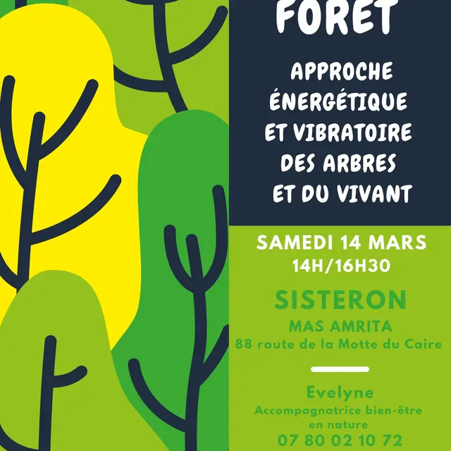 Bain de forêt_Sisteron