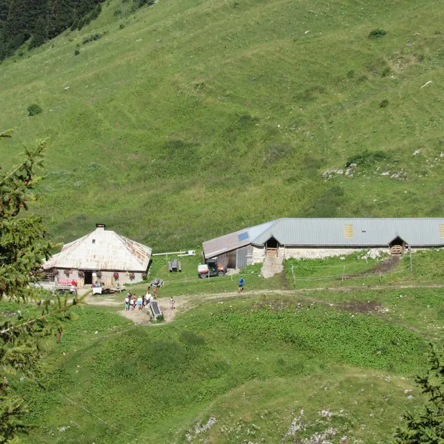 Alpage