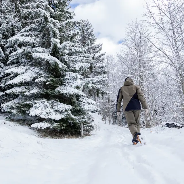 Itinéraure raquettes pédestre : Le Refuge de Golèse (non balisé)_Samoëns