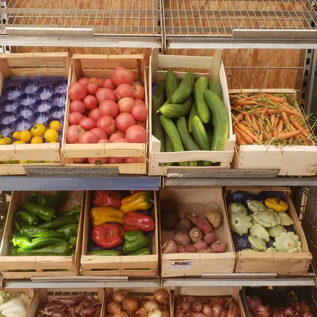 Jardin L'Orée d'Argens - Correns