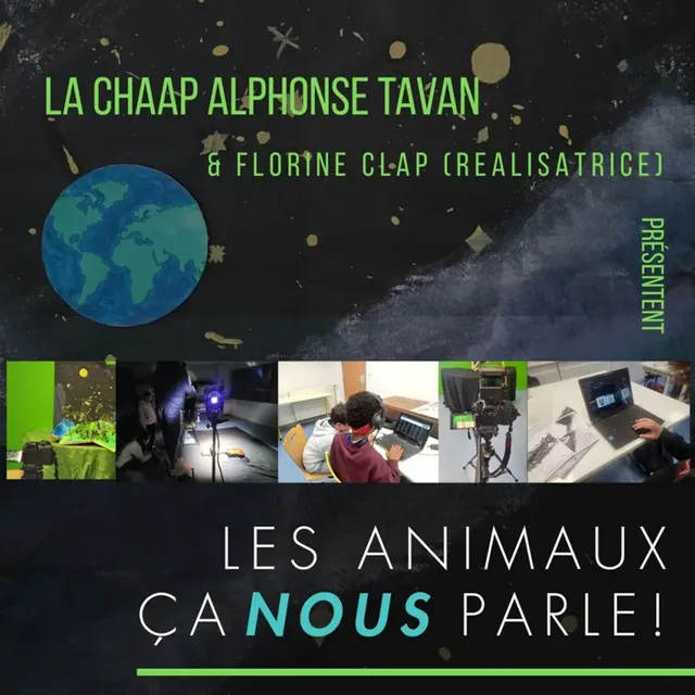 Projection – Les animaux, ça NOUS parle !_Avignon
