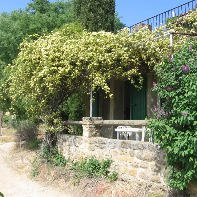 La Micocoule_Puyvert