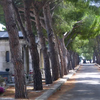 JEP Cimetière Saint-Pierre
