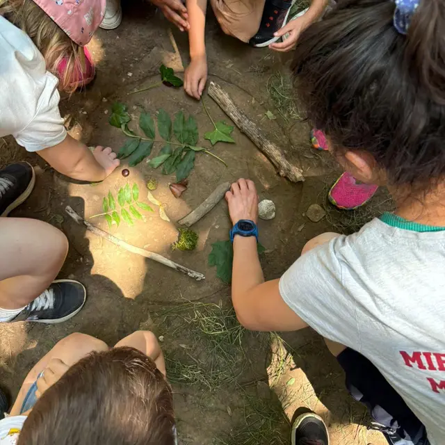 Forêt de mystère I Rendez-vous Nature en Savoie_Porte-de-Savoie