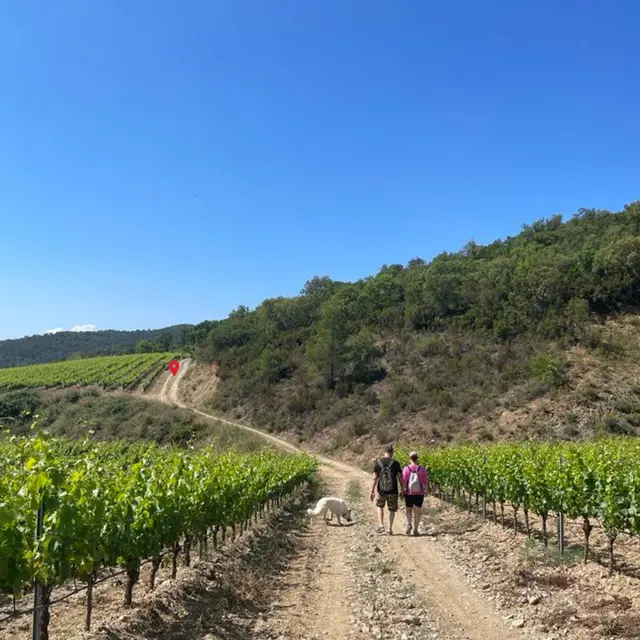 Jeu de piste et énigmes au Château Pas du Cerf_La Londe-les-Maures