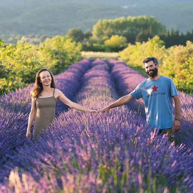 La Provence en Bouteille
