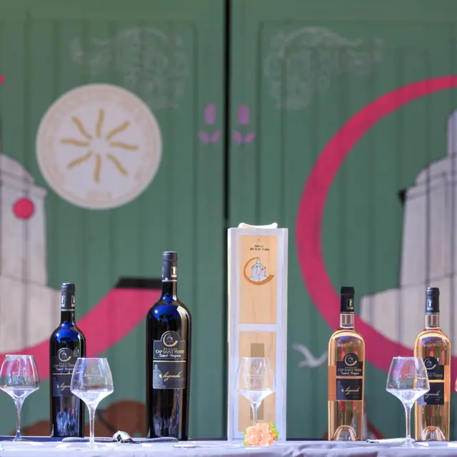 Vignoble Cap Saint-Pierre_Gassin