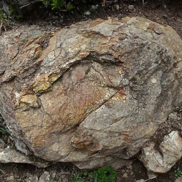 Laves en coussins - Géoparc mondial UNESCO du Chablais