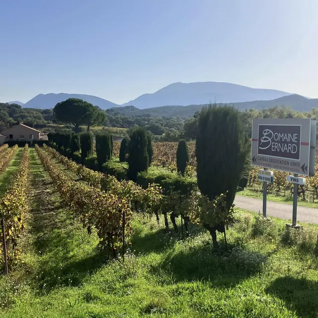 Balade Gourmande et Paëlla dans les vignes_Saint-Romain-en-Viennois