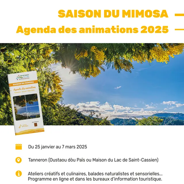 Ateliers à l'Oustaou dòu païs: saison du mimosa_Tanneron