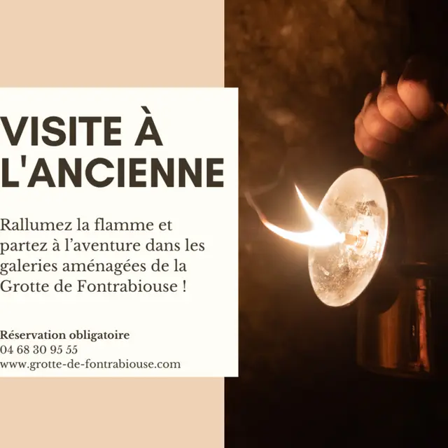 Visite à l'ancienne l'affiche