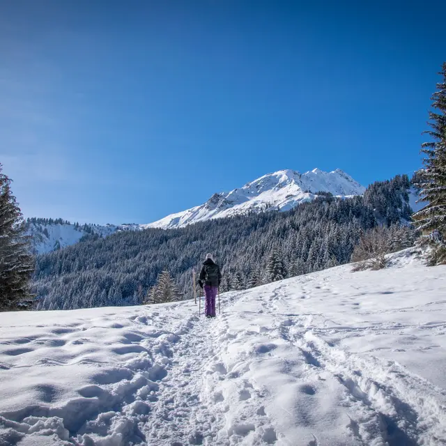 Arrivée dans la clairière des Granges de la Gorge