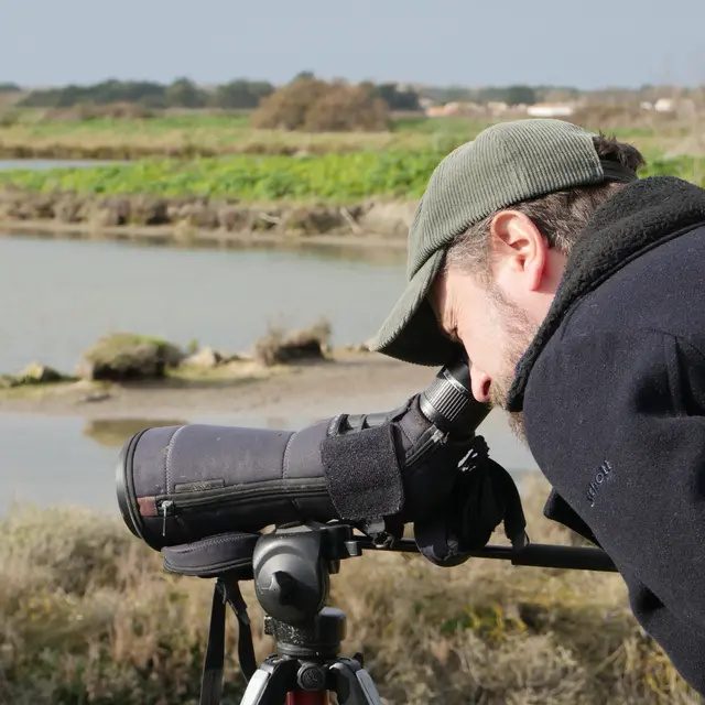 Sortie nature avec un écogarde - Balade Marais-Time_Les Portes-en-Ré