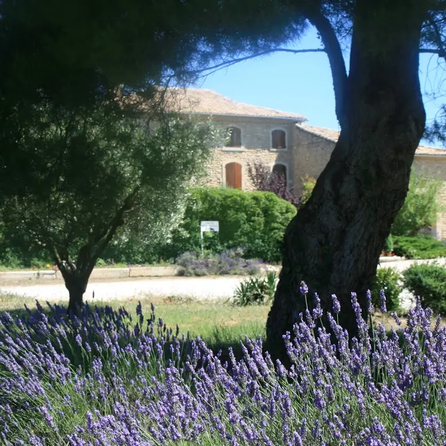 Clos du Père Clément_Visan