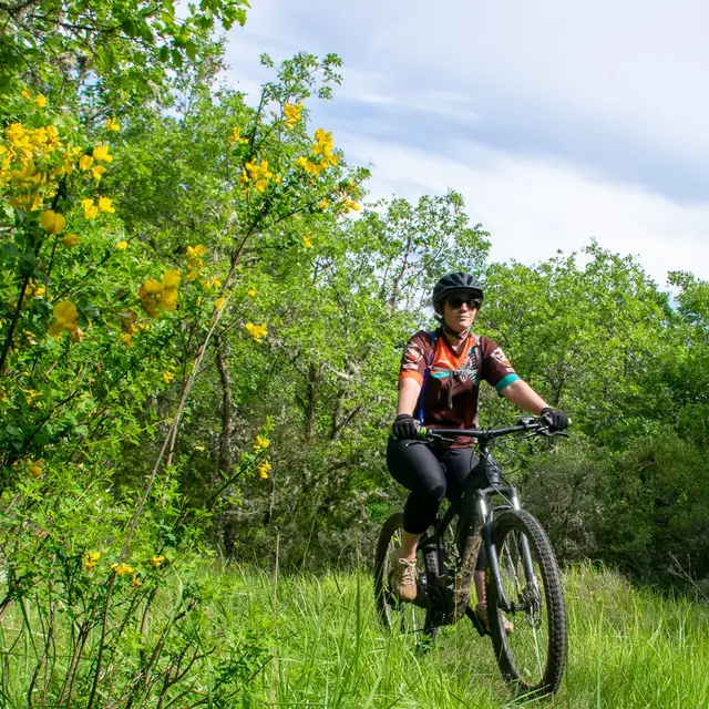 Circuit VTT 14 Haut-Var