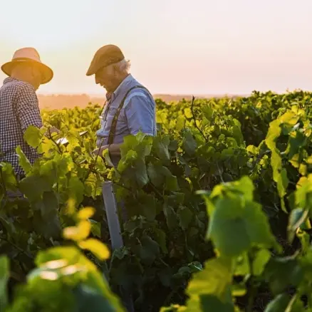 Réunion Transmission des exploitations agricoles_Saint-Martin-de-Ré