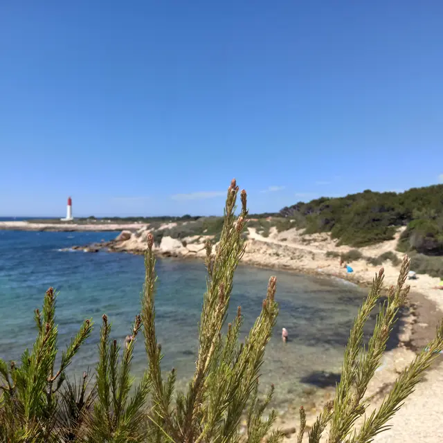 Rendez-vous des phares : rallye participatif à La Couronne