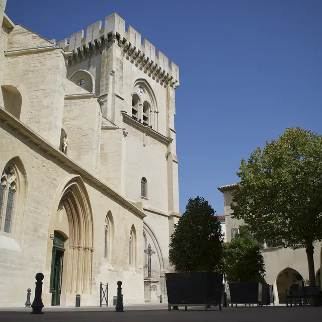 Cycle Il était une fois Villeneuve : la Collégiale Notre Dame_Villeneuve-lez-Avignon