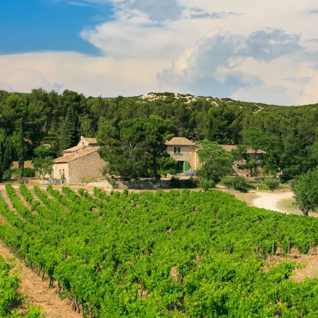 Domaine viticole Mas de Gourgonnier à Mouriès