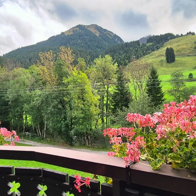 Appartement le Triolet-44m²-1 chambre-Alp'in Conciergerie_La Chapelle-d'Abondance