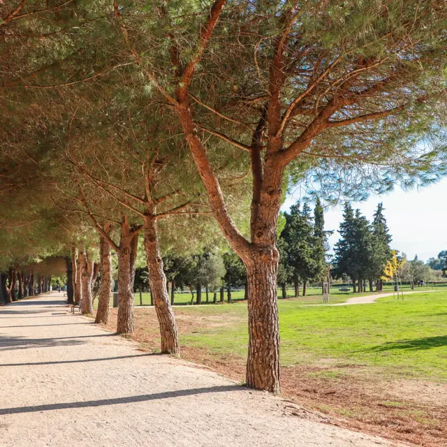 Promenade des Annamites