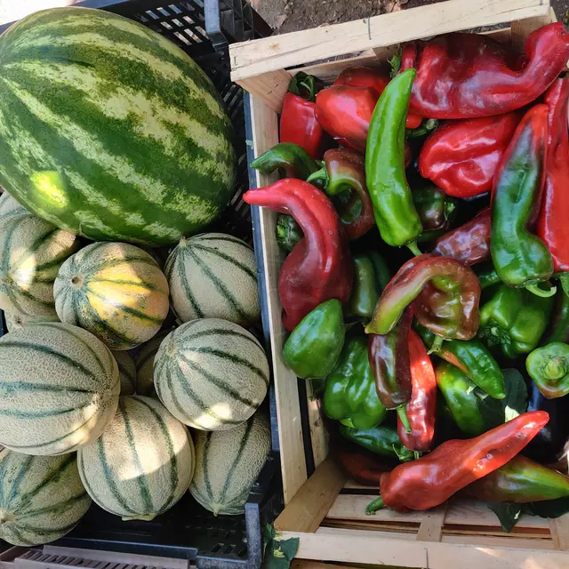 Felix Paysan_Callian