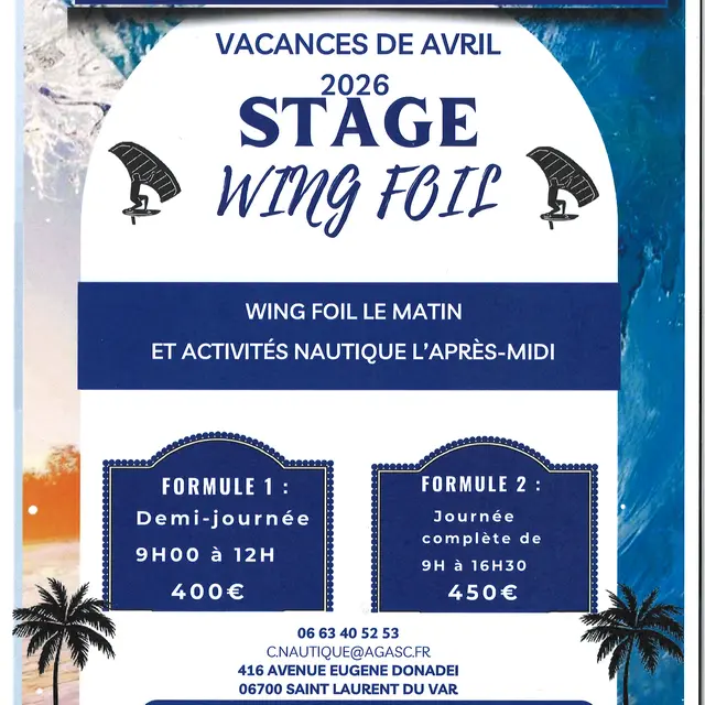 Stage Wing Foil Centre nautique.jpg