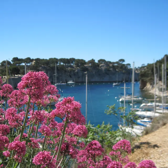 Port Miou