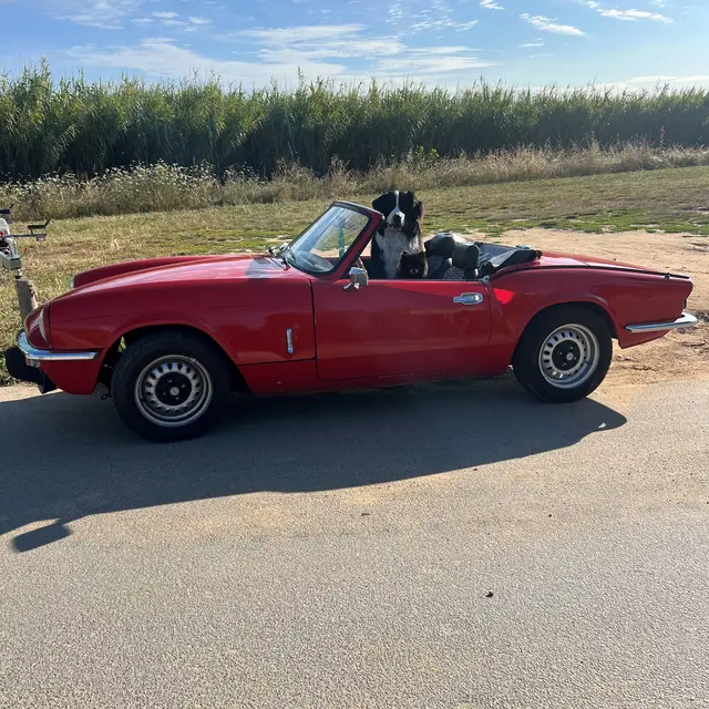 triumph
