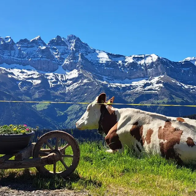 Restaurant des Bochasses_Morgins
