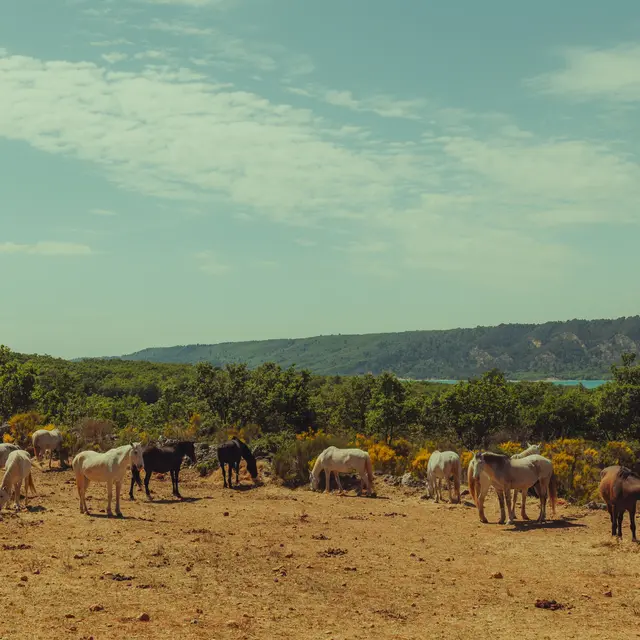 Le Ranch du Verdon
