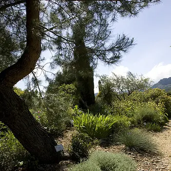Jardin botanique sanoflore