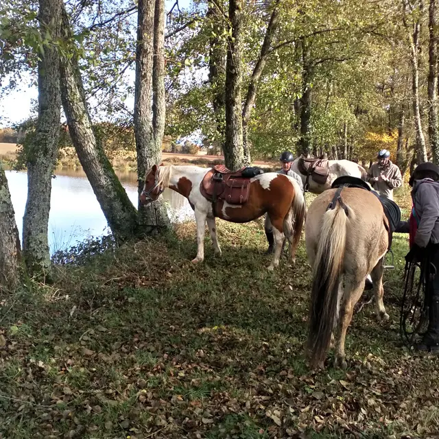 Randonnée à cheval dans l'ain