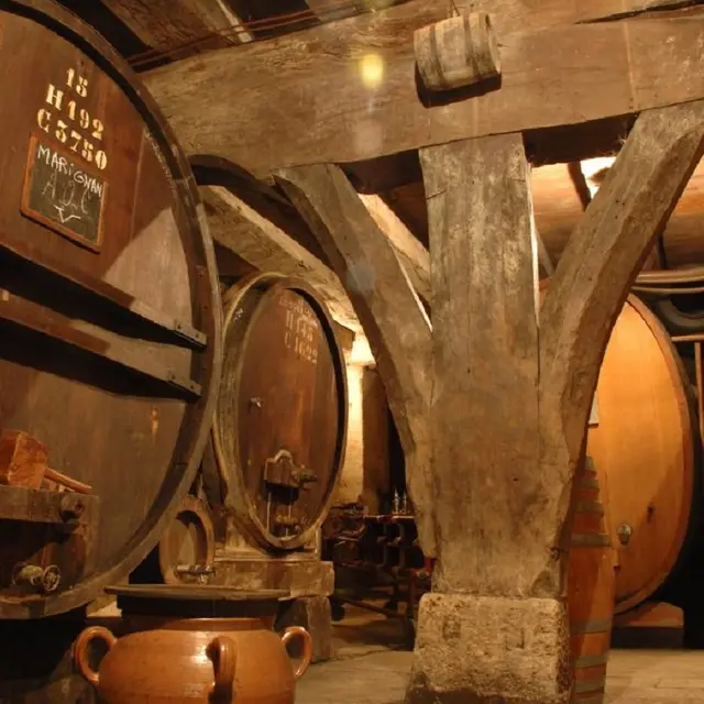 Les caves du Château La Tour de Marignan