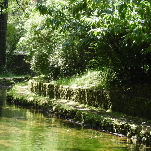 Parc du Teich